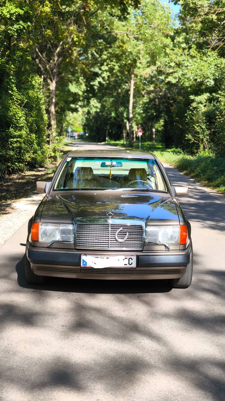Mercedes Benz 250 in gutem Zustand zu erwerben Baujahr BJ 01/1990