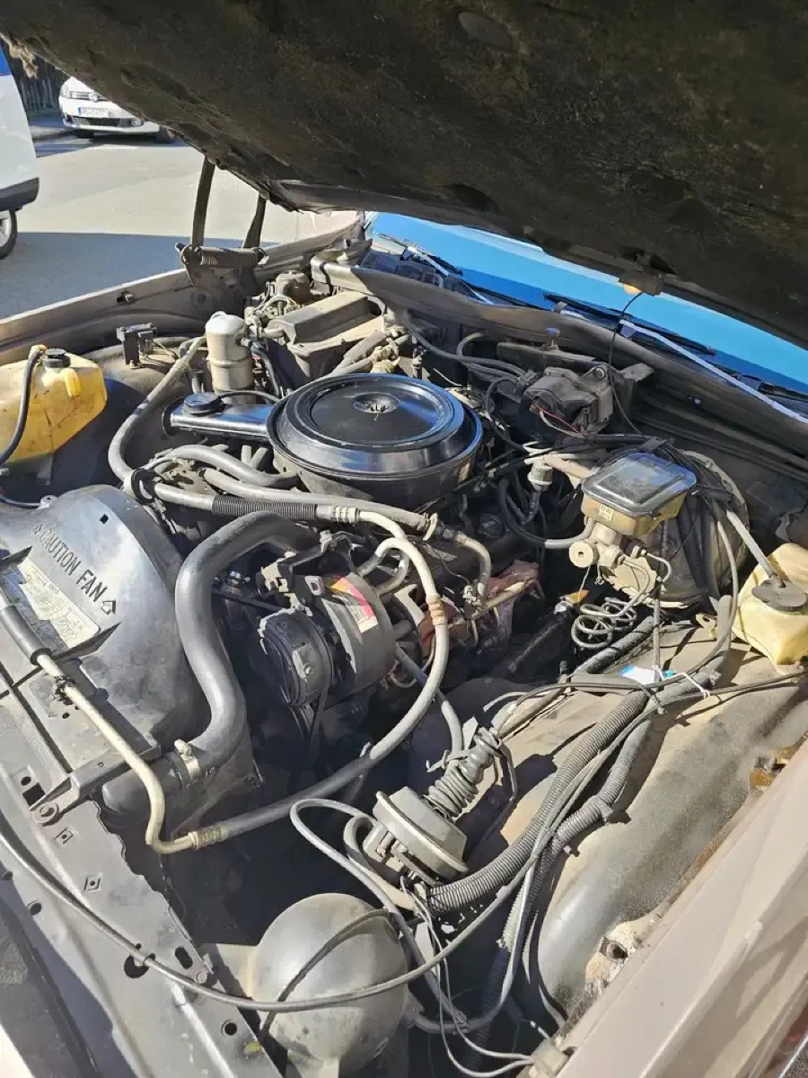 Chevrolet Caprice Pontiac Parisienne Baujahr BJ 07/1987