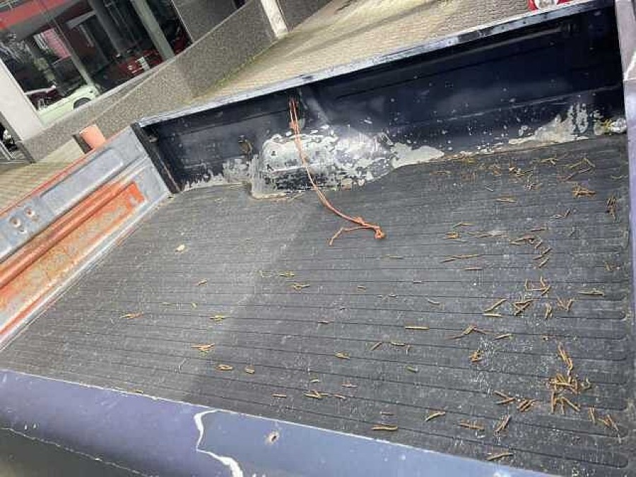 Ford F250 Baujahr BJ 10/1974