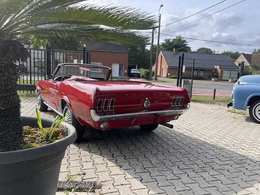 Ford Mustang Cabrio Baujahr BJ 09/1967