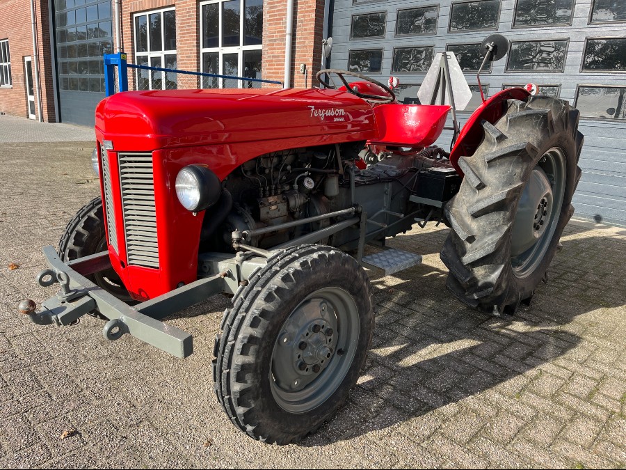 Gebraucht: Massey Ferguson TEF 20 in gutem Zustand Baujahr BJ 01/1955