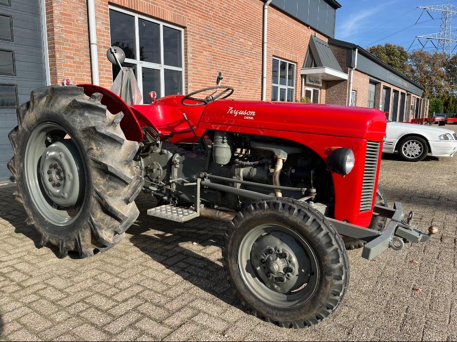 Gebraucht: Massey Ferguson TEF 20 in gutem Zustand Baujahr BJ 01/1955