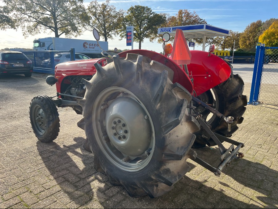 Gebraucht: Massey Ferguson TEF 20 in gutem Zustand Baujahr BJ 01/1955