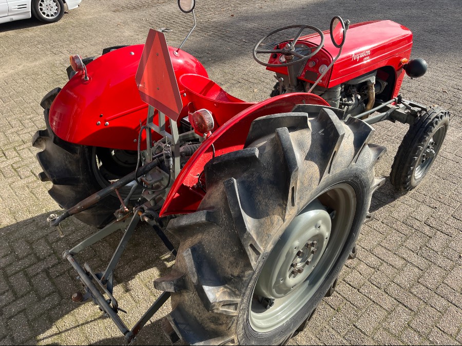 Gebraucht: Massey Ferguson TEF 20 in gutem Zustand Baujahr BJ 01/1955