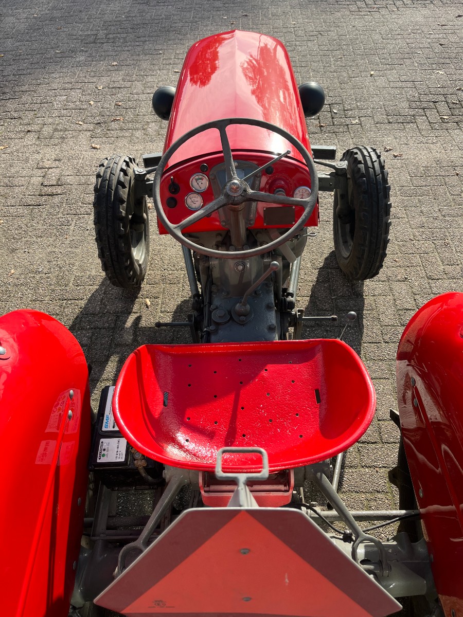 Gebraucht: Massey Ferguson TEF 20 in gutem Zustand Baujahr BJ 01/1955