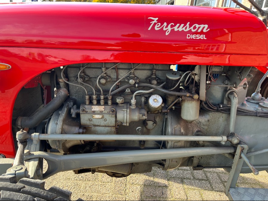 Gebraucht: Massey Ferguson TEF 20 in gutem Zustand Baujahr BJ 01/1955