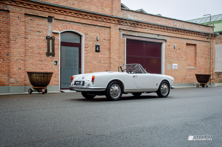 Alfa Romeo Giulia Spider 1600 in gutem Zustand Baujahr BJ 01/1963