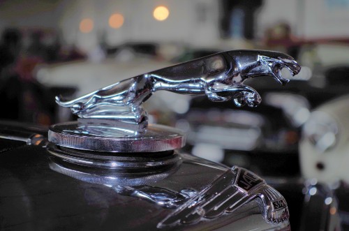 Jaguar MK V - historische Zulassung Baujahr BJ 01/1950