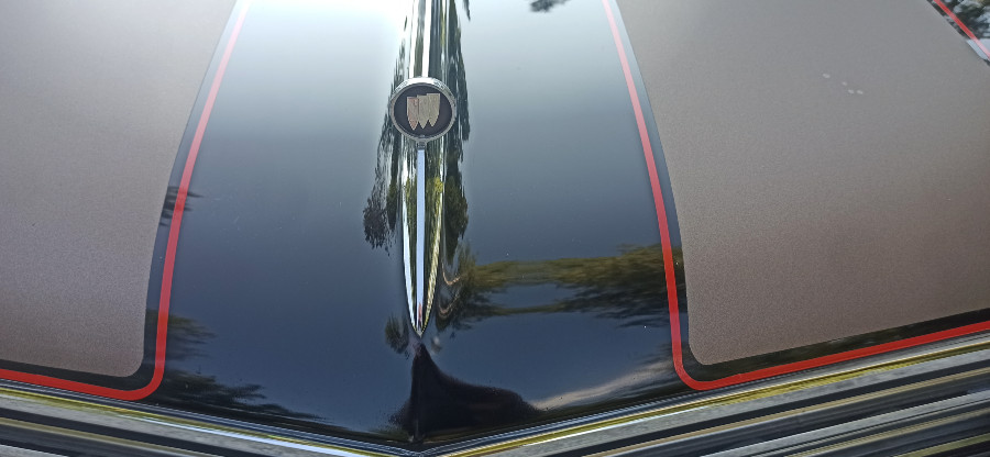 Buick Skylark Coupe GS 5.0 L V8 zu verkaufen Baujahr BJ 01/1966