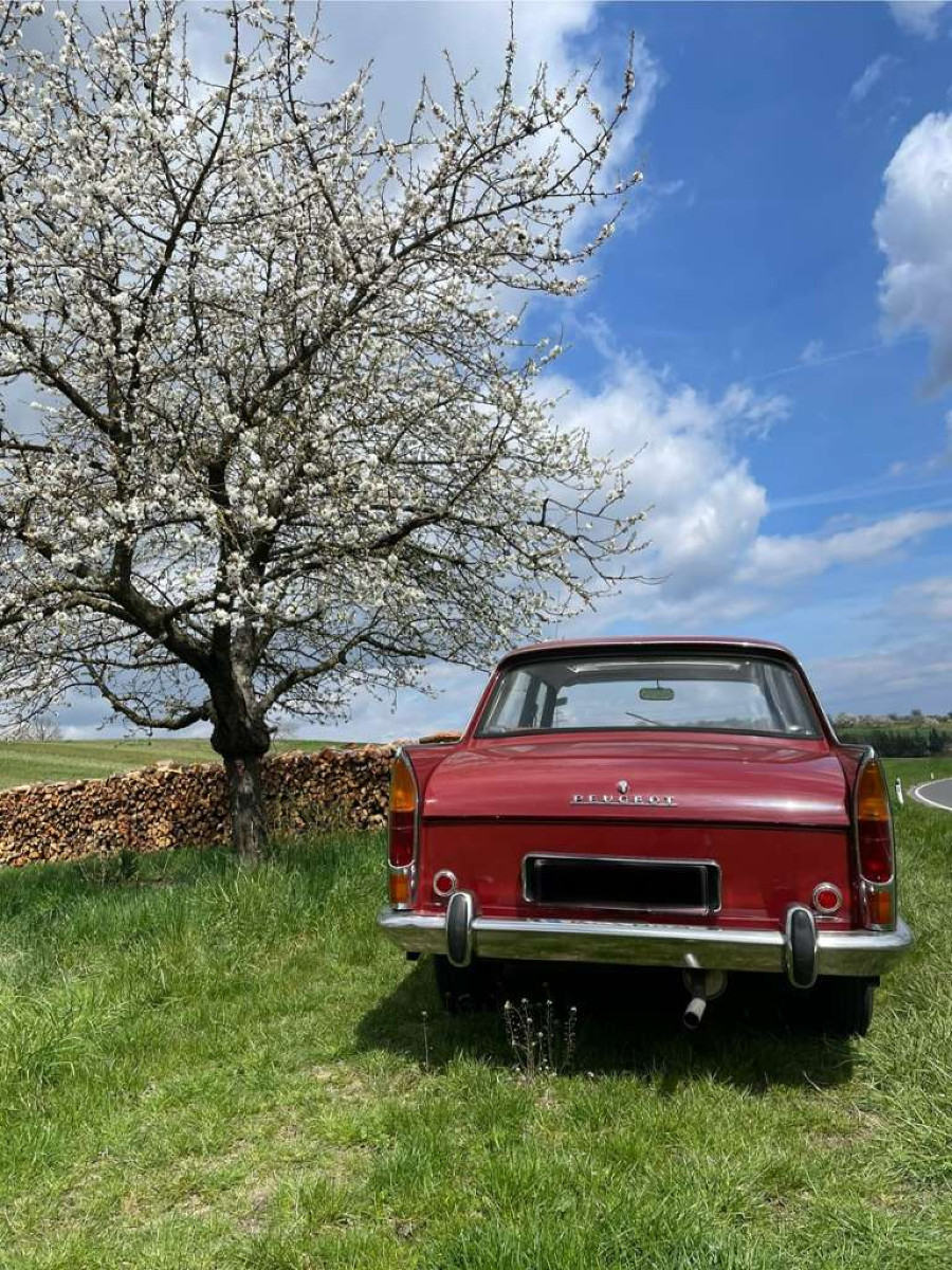 1964er Peugeot 404 Berline Limousine in gutem Zustand Baujahr BJ 12/1964