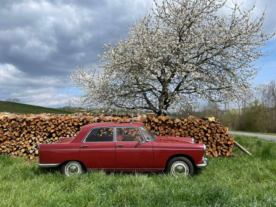 1964er Peugeot 404 Berline Limousine in gutem Zustand Baujahr BJ 12/1964