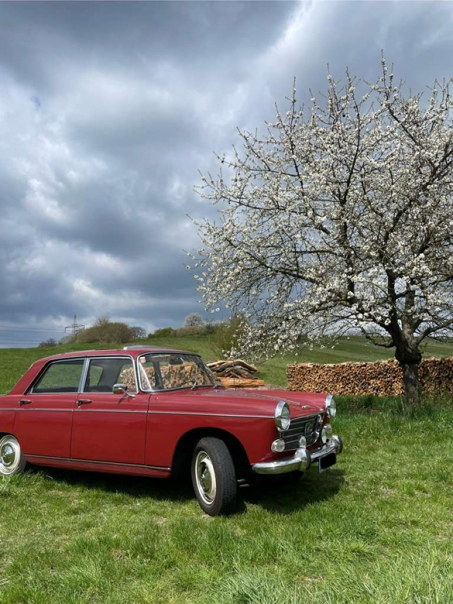 1964er Peugeot 404 Berline Limousine in gutem Zustand Baujahr BJ 12/1964