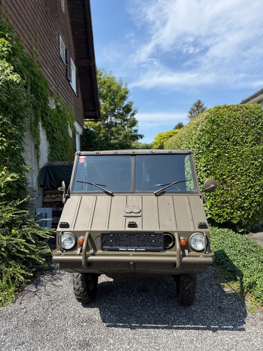 Puch Haflinger zu verkaufen Baujahr BJ 03/1969