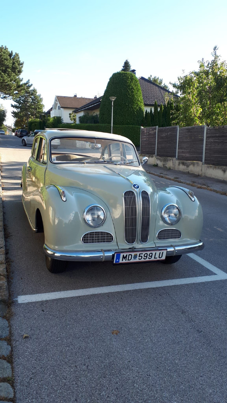 BMW 501 /6 - Zylinder Baujahr BJ 04/1956