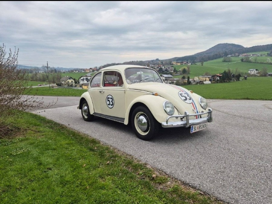 Top Zustand: VW Käfer Baujahr BJ 06/1967
