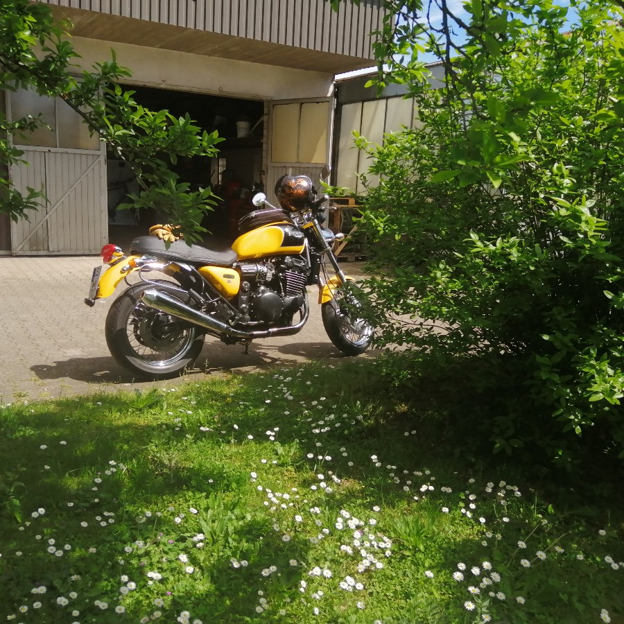 Biete Triumph Thunderbird Sport RT709 guter Zustand mit gültigem Pickerl Baujahr BJ 04/2000