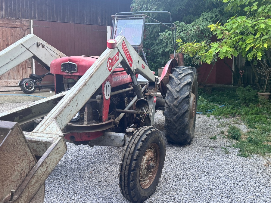 Massey Ferguson MF 65 Mark II Multi Power Baujahr BJ 06/1963
