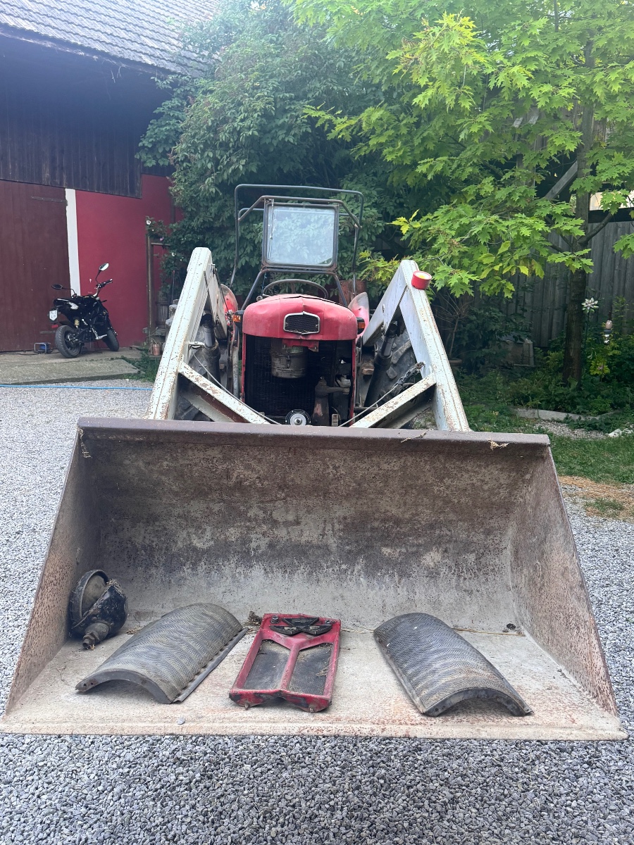 Massey Ferguson MF 65 Mark II Multi Power Baujahr BJ 06/1963