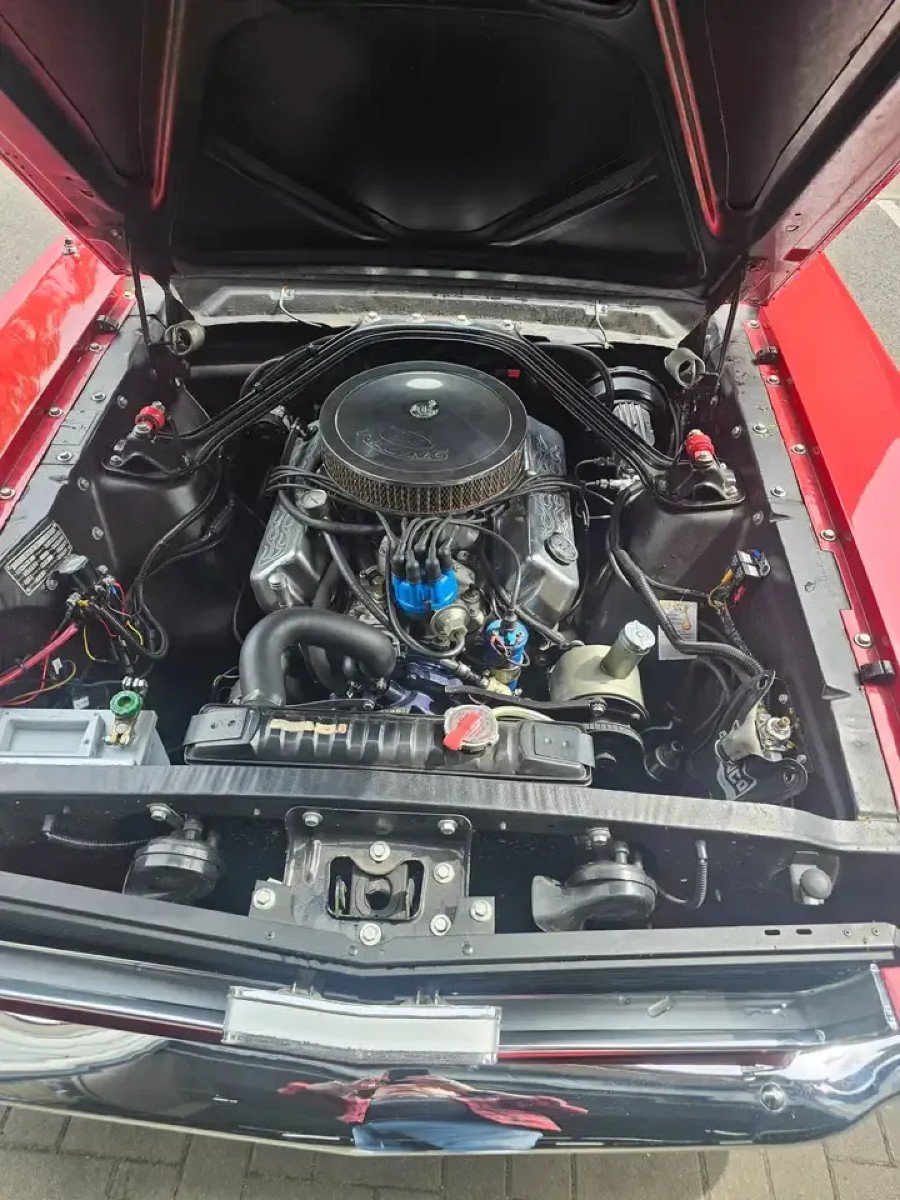 Ford Mustang Cabrio zu verkaufen Baujahr BJ 11/1965