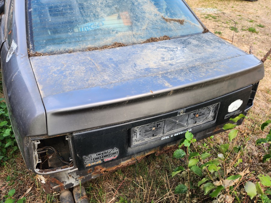 Bastlerfahrzeug Opel Vectra 2000 - 4x4 sucht neuen Besitzer Baujahr BJ 05/1994