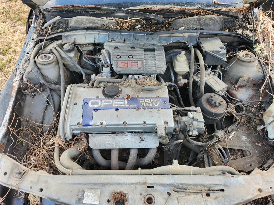 Bastlerfahrzeug Opel Vectra 2000 - 4x4 sucht neuen Besitzer Baujahr BJ 05/1994
