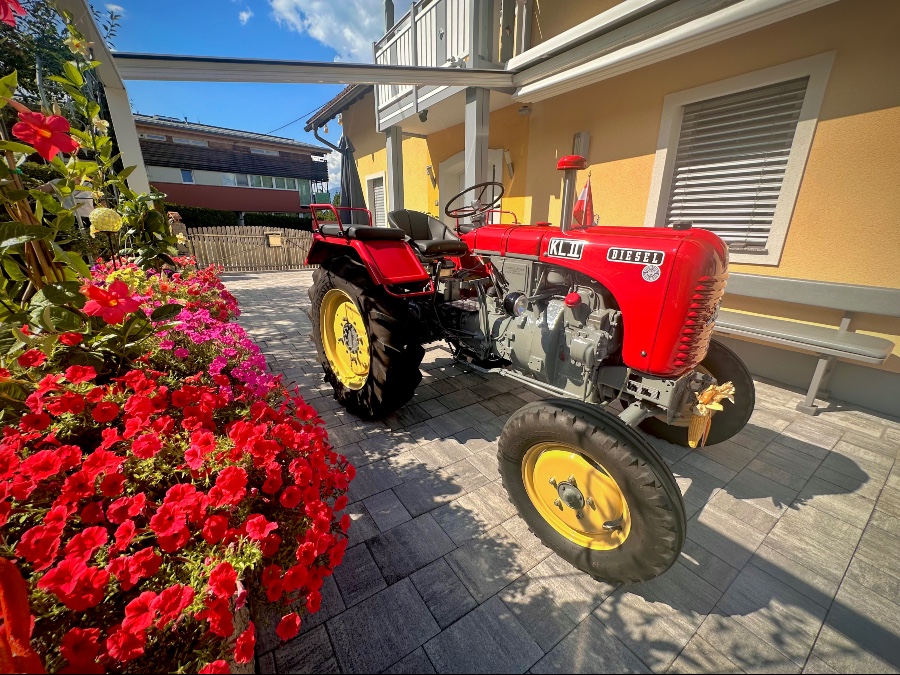 Top Zustand: Steyr t84 sucht neuen Besitzer Baujahr BJ 01/1957