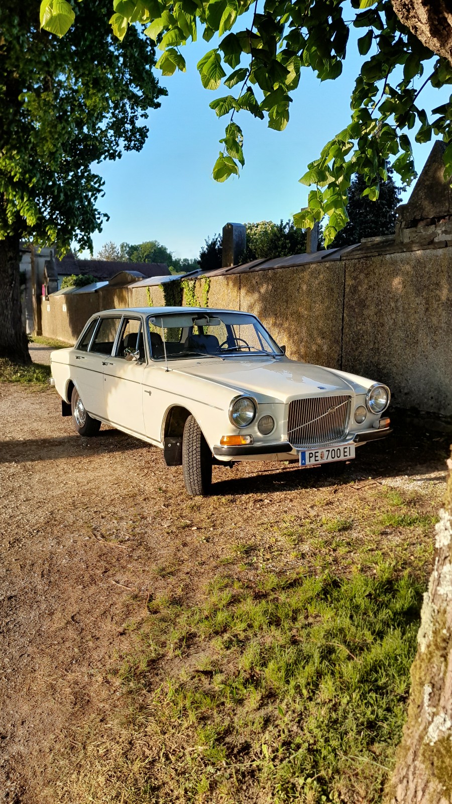 Volvo 164 gut erhalten Baujahr BJ 01/1969