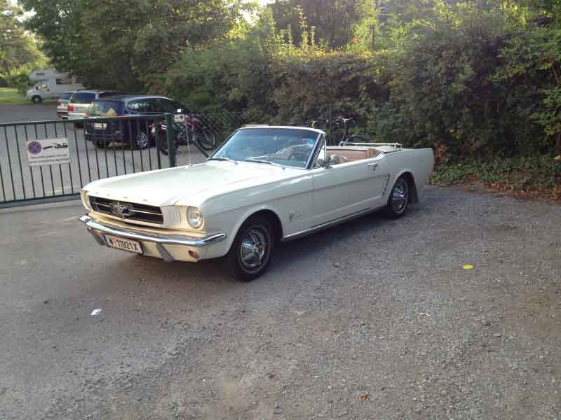 Traum 65er Mustang Conv. Baujahr BJ -