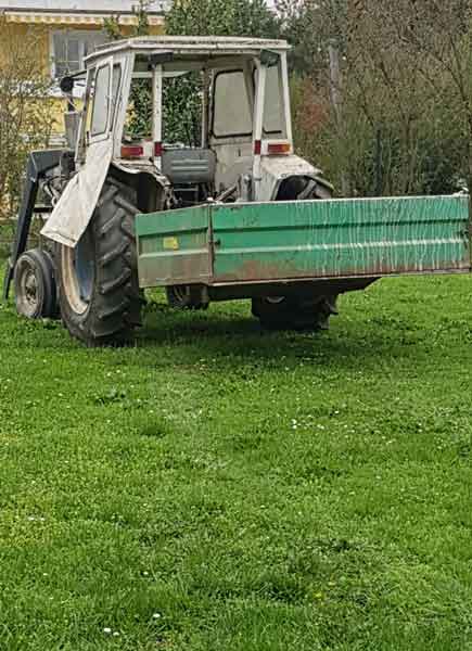 Lamborghini R 603 Baujahr BJ -