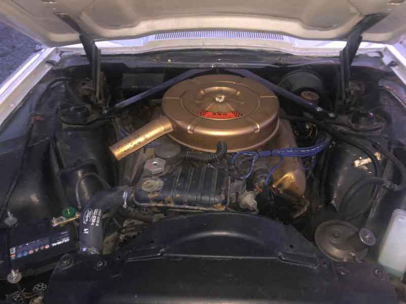 Ford Thunderbird 1964 Hardtop Coupe Baujahr BJ -