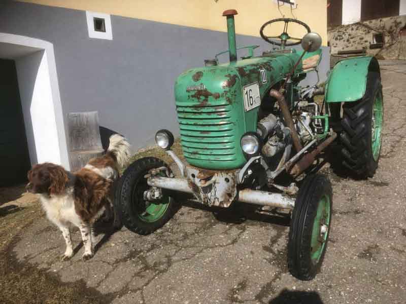 Steyr t80 Baujahr BJ -