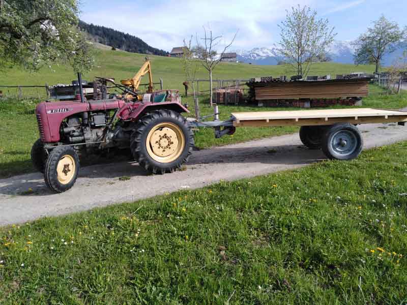 Steyr Traktor T 84 Baujahr BJ -